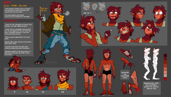 REFERENCE NIM (belongs to me) ~300 EUR